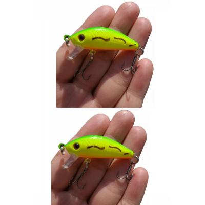 2 Adet 5 Gr Rapala Lures Yapay Suni Yem Jig YemTurna Levrek Alabalık Yemi MaketBalık