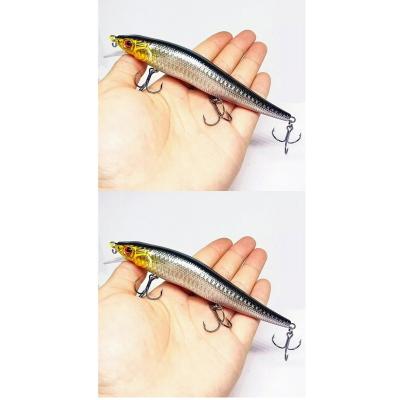 2 Adet 23Gr. Rapala Lures Suni Yem Maket balık Sasi Yem Lrf At çek Yapay Balık Yemi